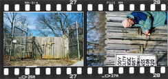 Film strip