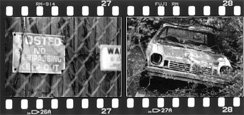 Film Strip