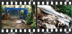 Film Strip