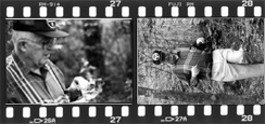 Film Strip